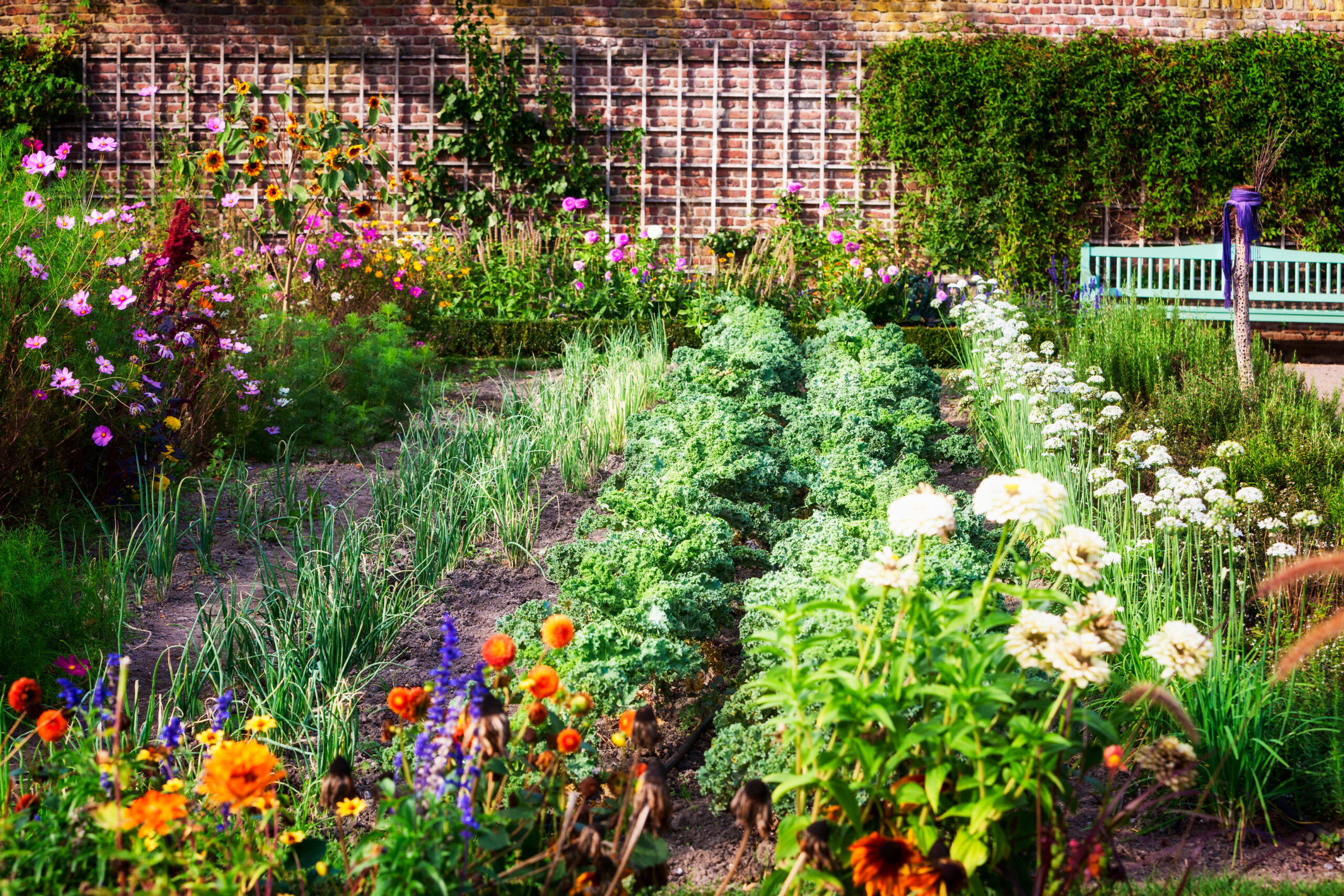 16 Best Flowers and Vegetables to Plant In Spring