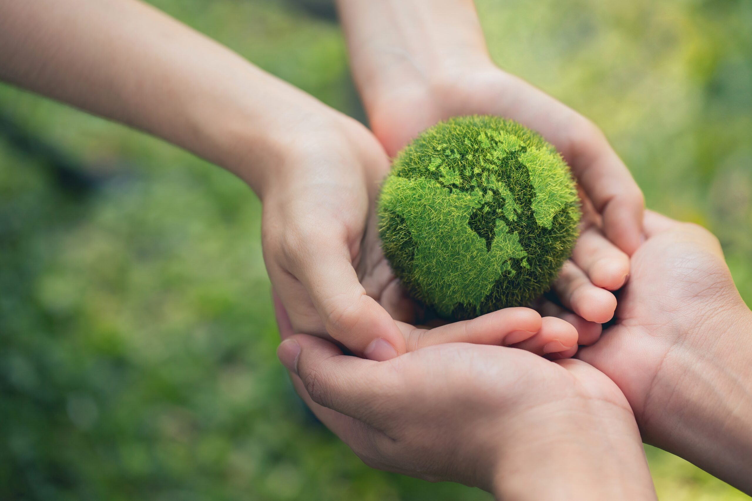 55 Ways to Be More Environmentally Friendly in 2024