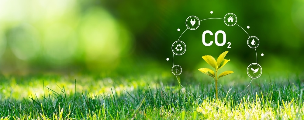 Understanding Carbon Dioxide: Causes and Impacts