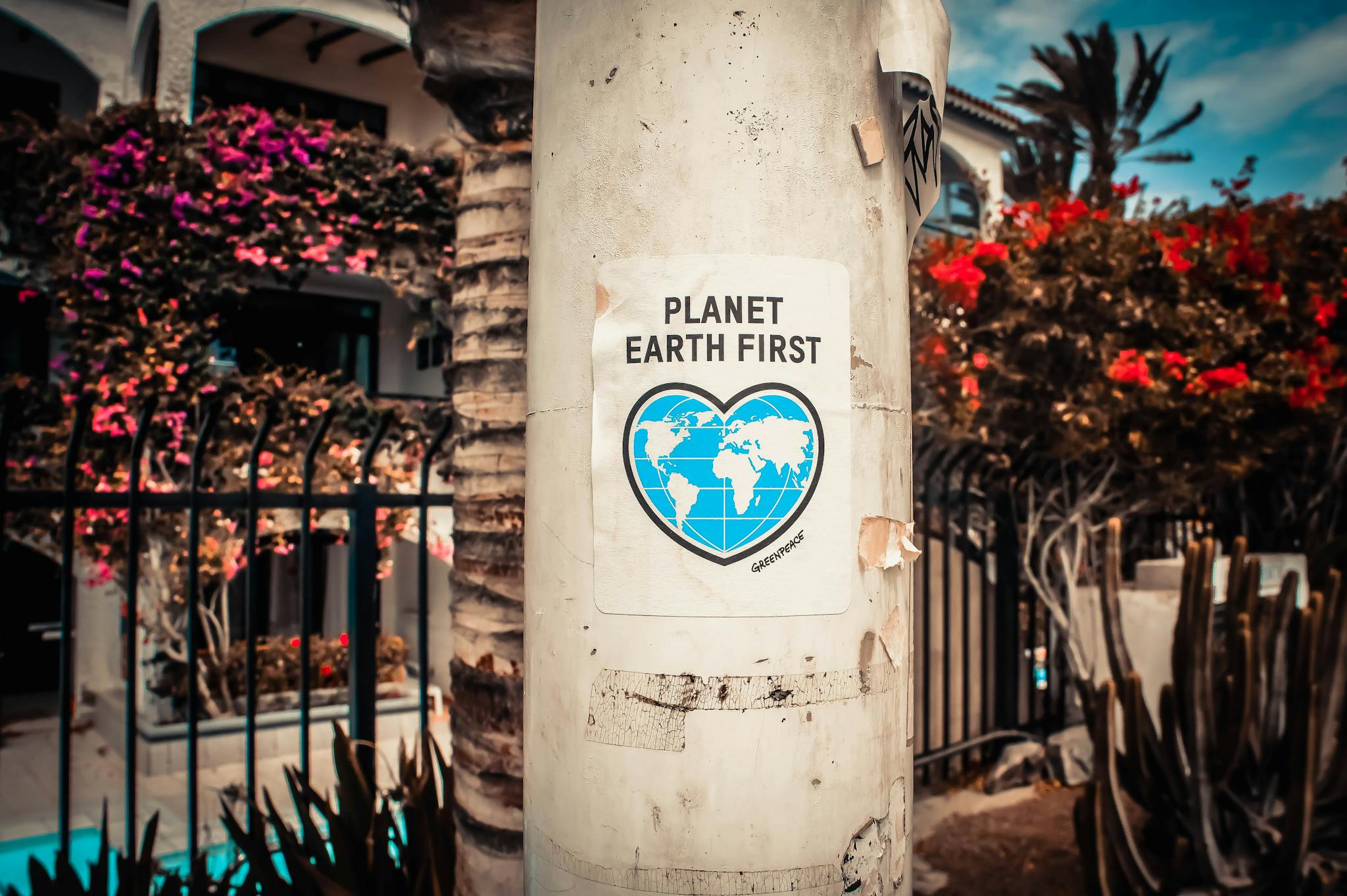 earth day embrace a greener future