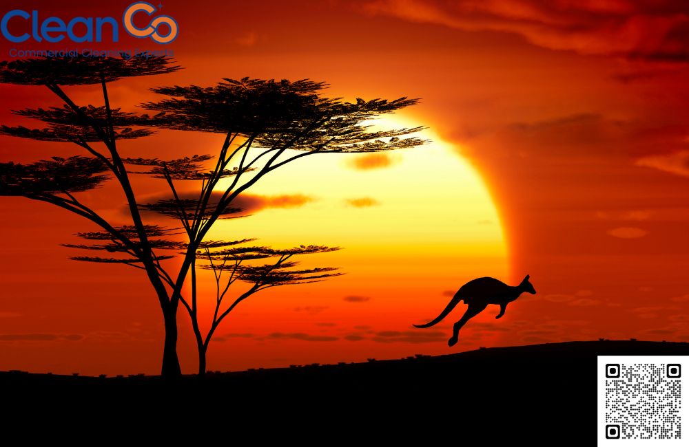 Australia's Political System: A Constitutional Monarchy with a Hybrid Government Structure