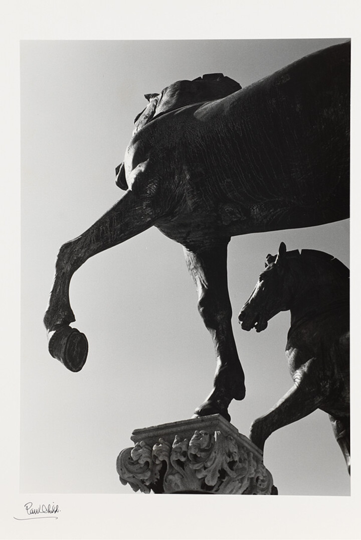 Horses - Venice