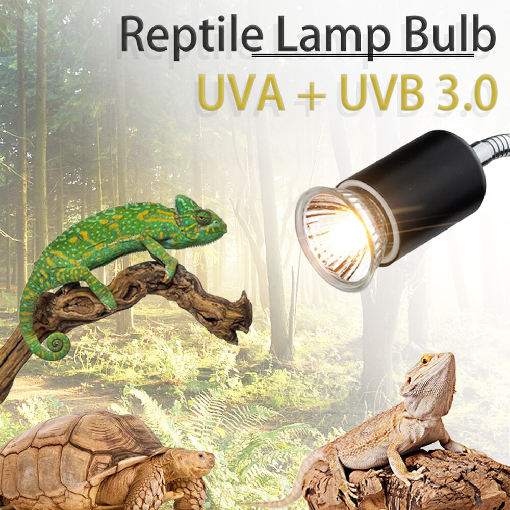 Bombilla para reptiles UVA + UVB 3,0, lámpara de calefacción para tortugas, anfibios, lagartos, controlador de temperatura, 25/50/75W