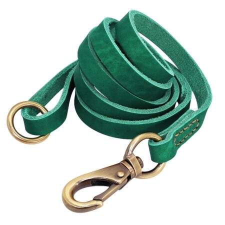 green-leash