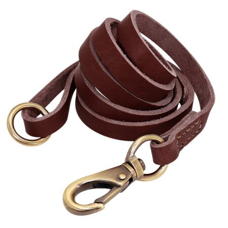 brown-leash