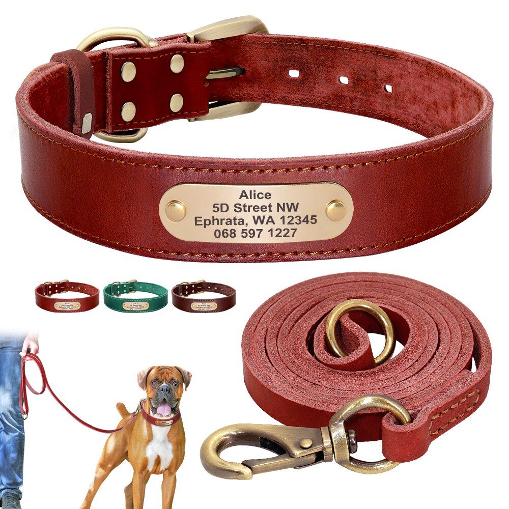 Collar de cuero personalizado para perro, conjunto de correa para mascota, placa de identificación grabada gratis para perros pequeños, medianos y grandes
