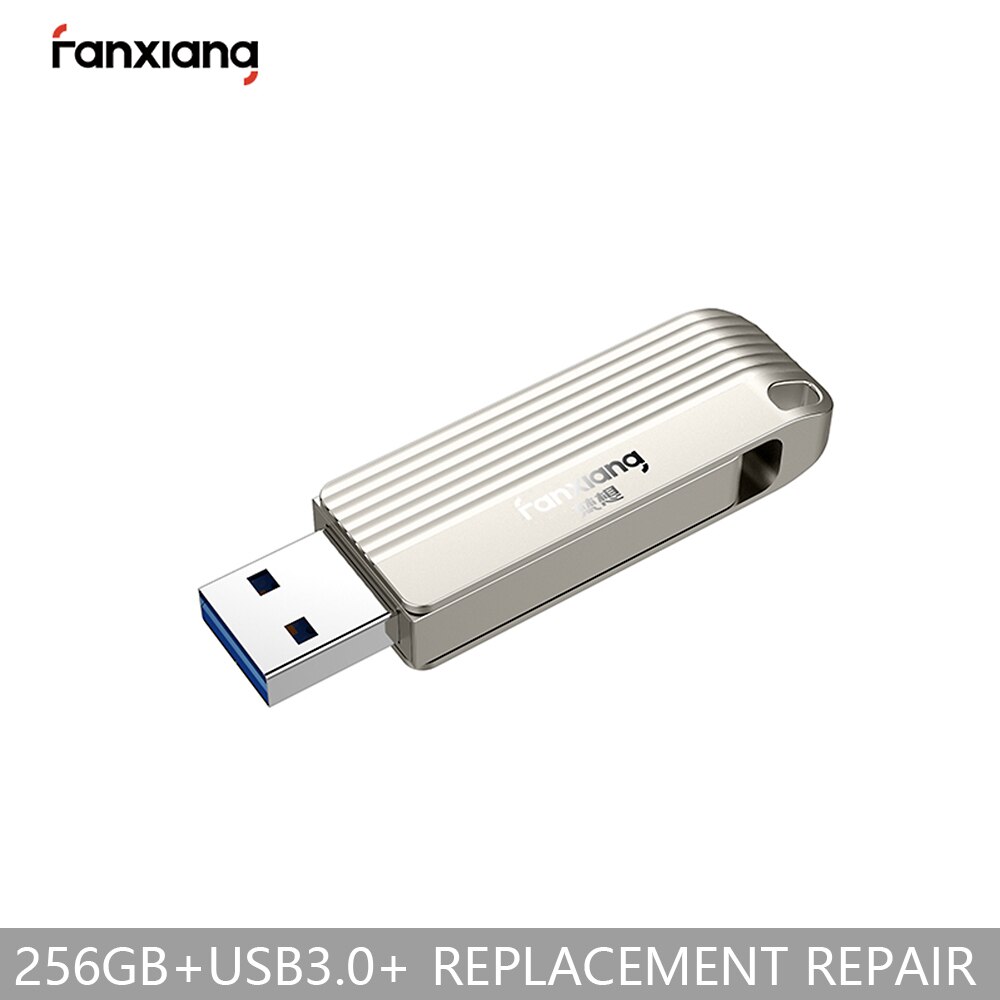 FANXIANG-unidad Flash USB F313 para coche, 128GB, 256GB, 64GB, edición plateada de alta velocidad, Ordenador de Metal, doble uso