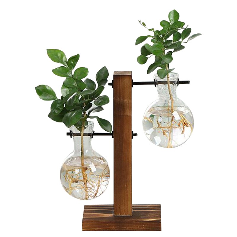 Jarrones de plantas hidropónicas Vintage, maceta de flores transparente, marco de madera, plantas de mesa de vidrio, decoración de bonsái para el hogar