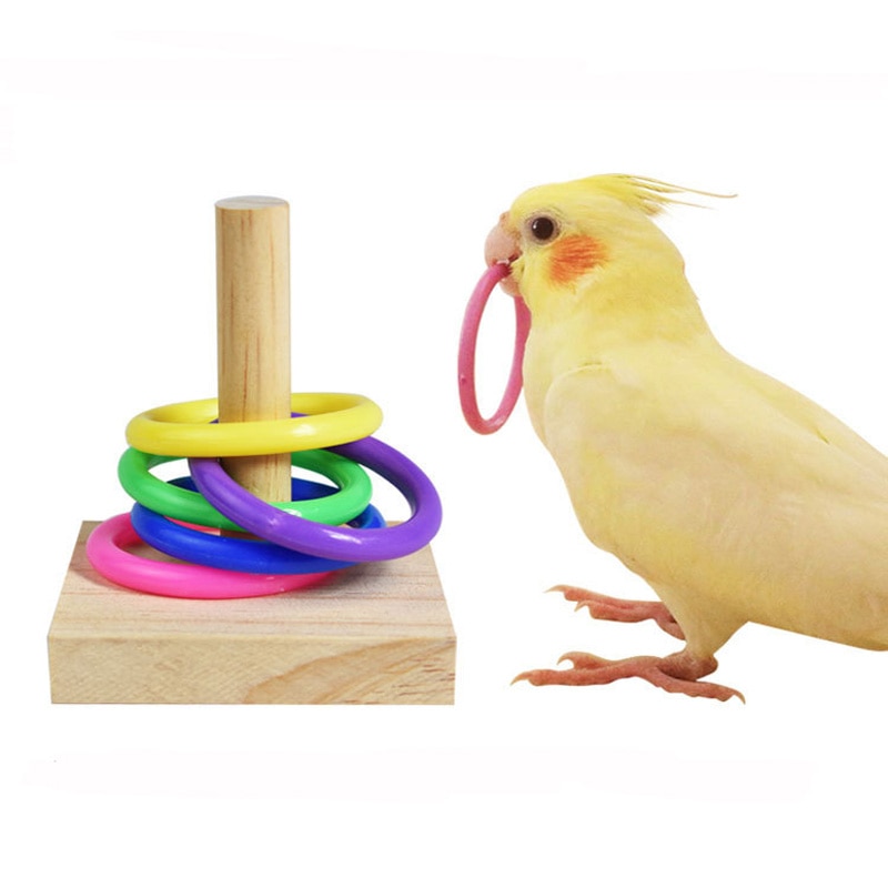 Juego de juguetes de entrenamiento para pájaros, bloques de madera, rompecabezas para loros, anillos de plástico coloridos, entrenamiento de inteligencia, suministros de juguetes para aves para masticar