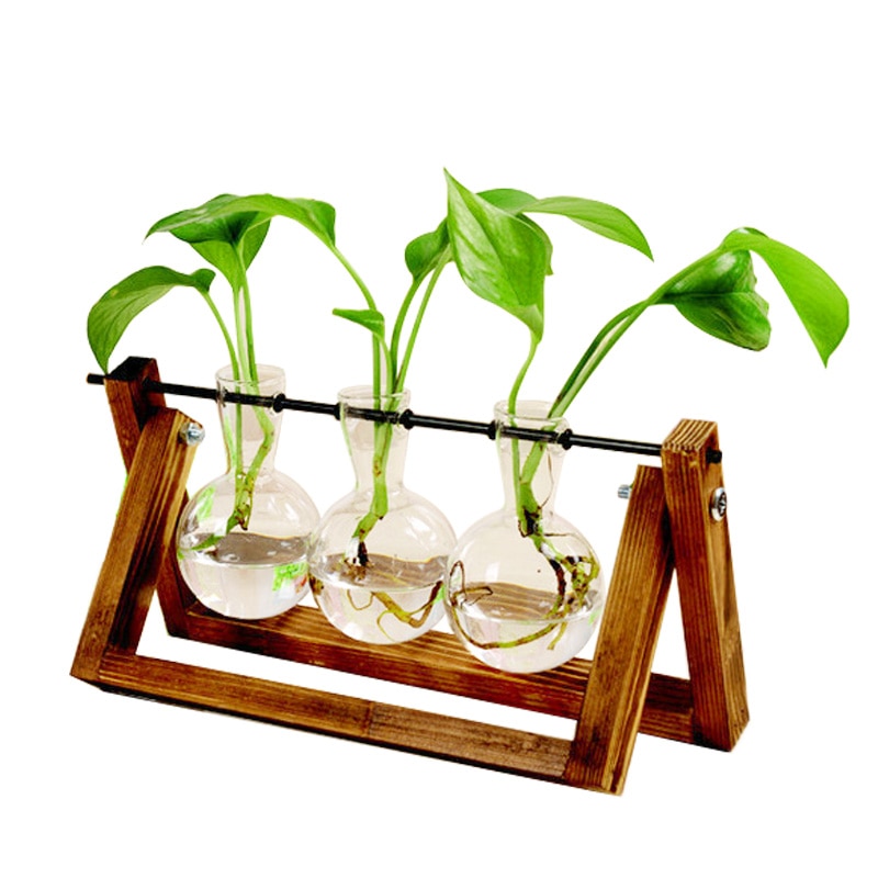 Terrario transparente para plantas hidropónicas, florero creativo con marco de madera, decoración de vidrio para mesa, planta de bonsái, decoración de flores
