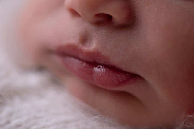 detalhes de criança no ensaio de fotos newborn: tudo que você precisa saber