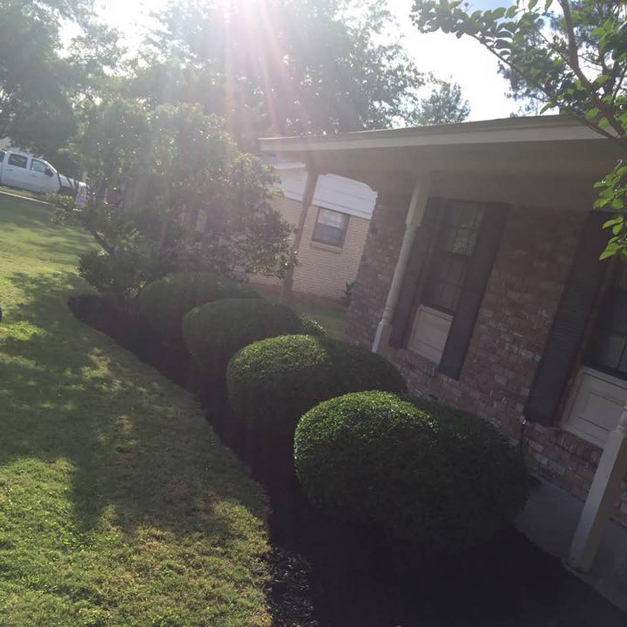 Why is my Florida grass turning yellow