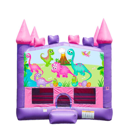 Backyard Bounce House Rental Shorewood IL