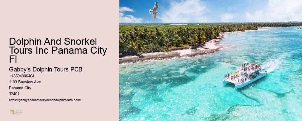 Gabby Dolphin Tours Panama City