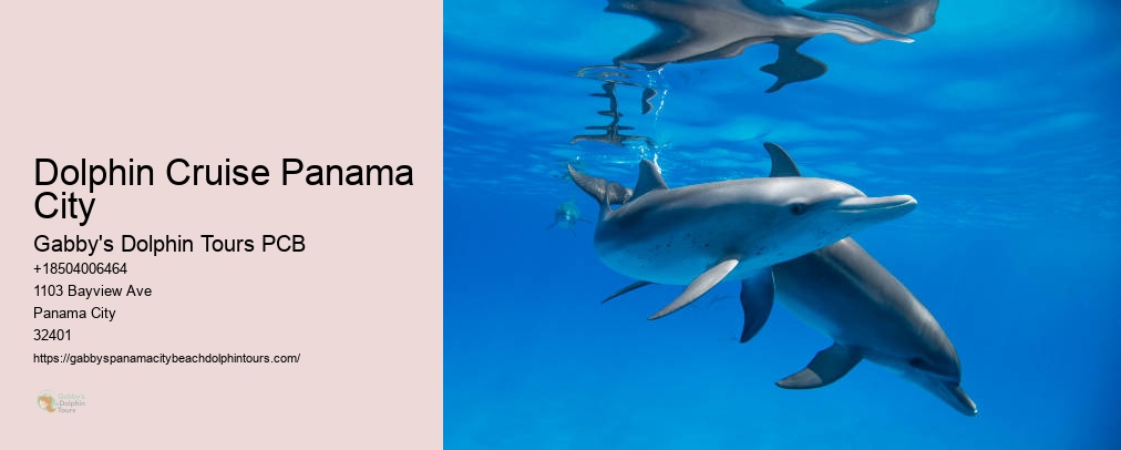 Swim With Dolphins Panama City Fl