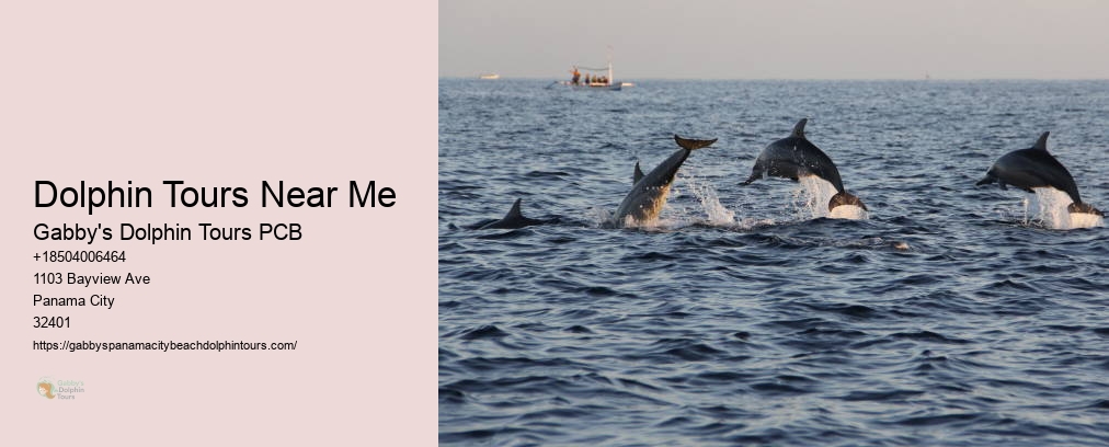 Dolphin Cruise Panama City Florida