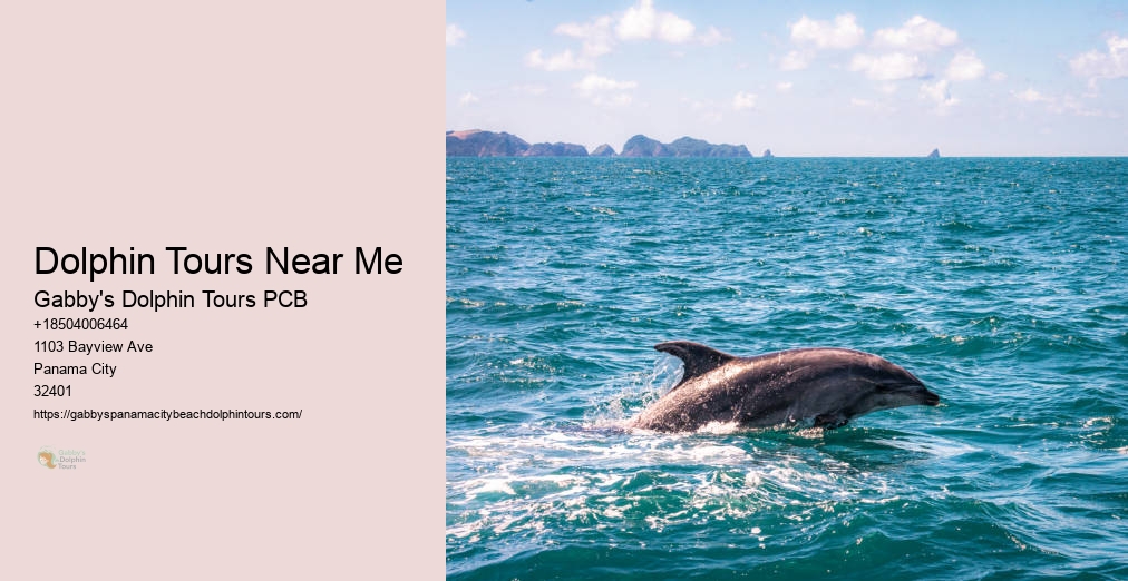 Swim With Dolphins Panama City