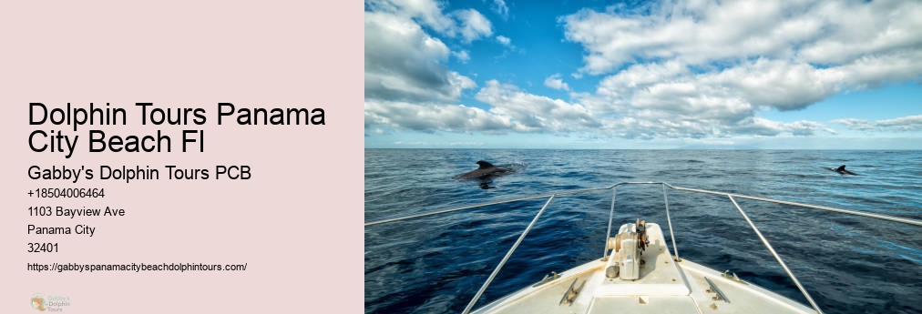 Panama City Florida Dolphin Cruise
