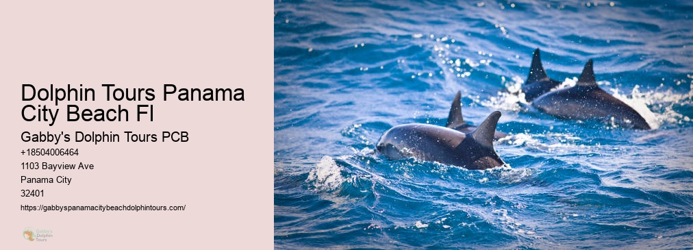 Panama City Dolphin