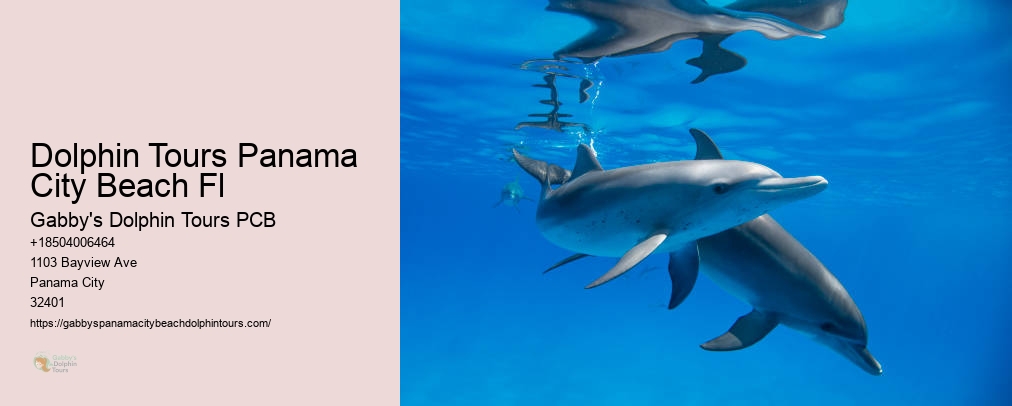 Dolphin Tours Panama City Fl