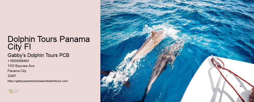 Dolphin And Snorkel Tours Inc Panama City Fl