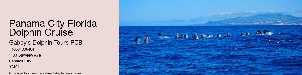 Panama City Florida Dolphin Cruise