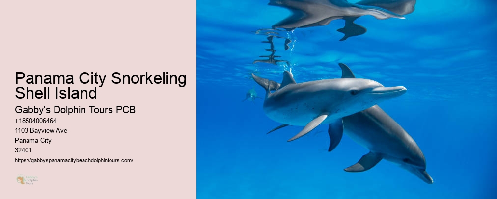 Dolphin And Snorkel Tours Inc Panama City Fl