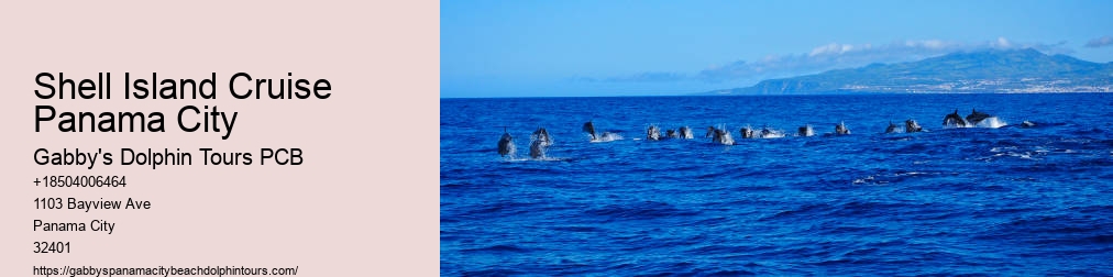 Gabby Dolphin Tours Panama City