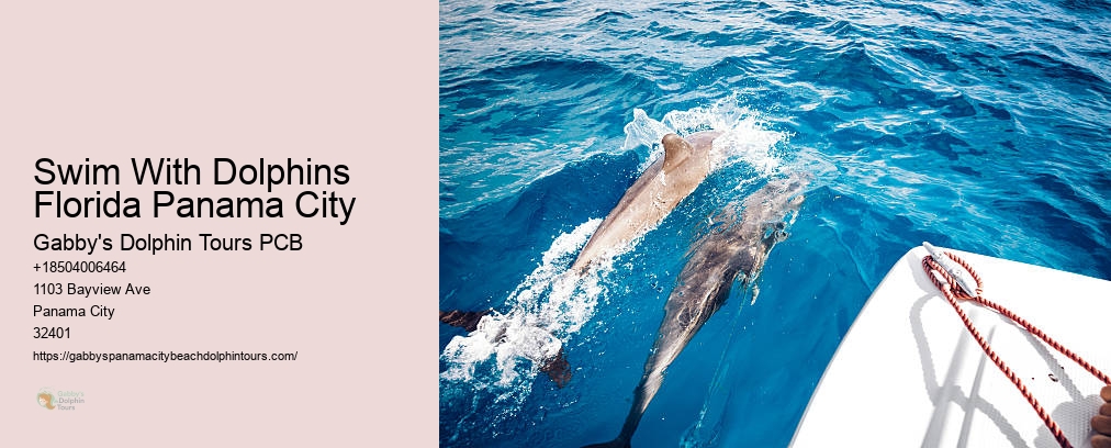 Dolphin And Snorkel Tours Inc Panama City Fl