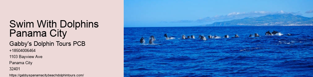 Panama City Florida Dolphin Cruise
