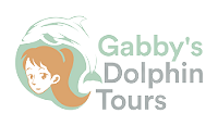 Private Dolphin and Snorkeling Tours Up to 13 People