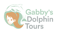 Private Dolphin And Snorkel Tour Eco