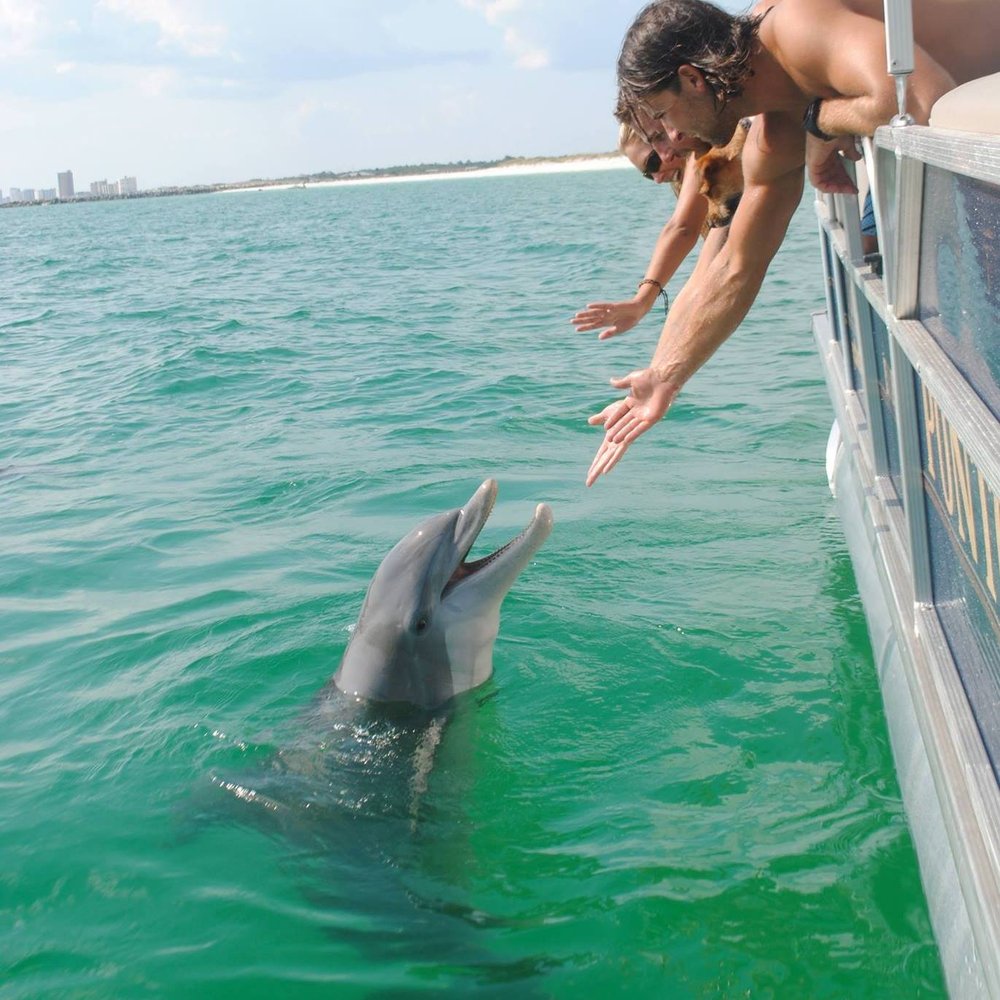 Private Dolphin And Snorkeling Tours Key West