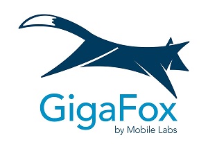 GigaRestore Labs
