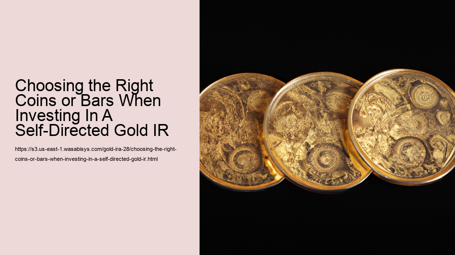 Choosing the Right Coins or Bars When Investing In A Self-Directed Gold IR