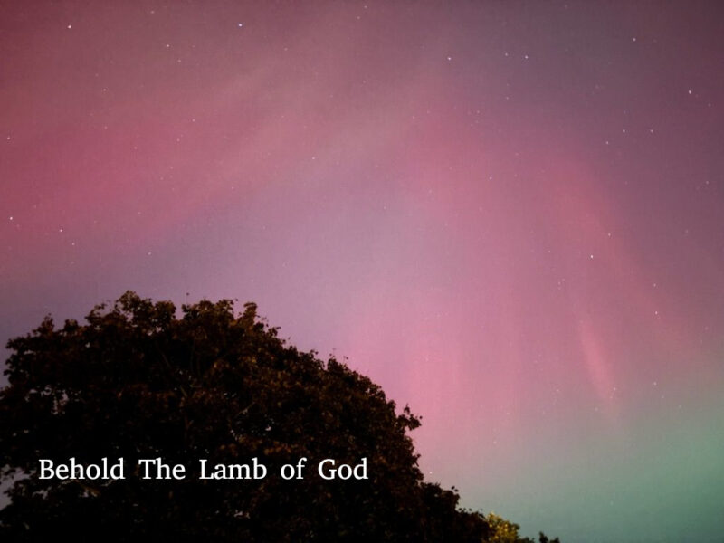 “Behold! The Lamb of God Who takes away the sin of the world!” – The