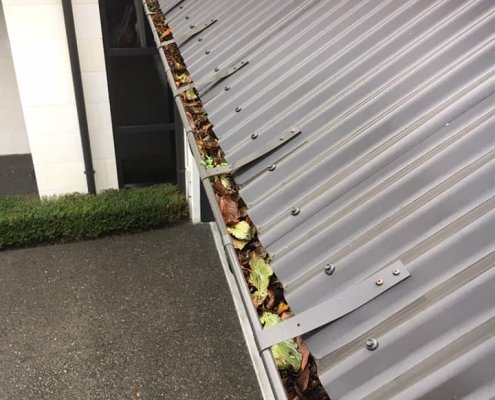 Grass to Glass gutter cleaning