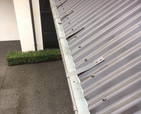 Grass to Glass gutter cleaning finished