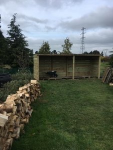 Grass to Glass wood shed build