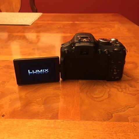 Panasonic Lumix DMC-FZ200 Digital Camera (Black) with + Case + Battery