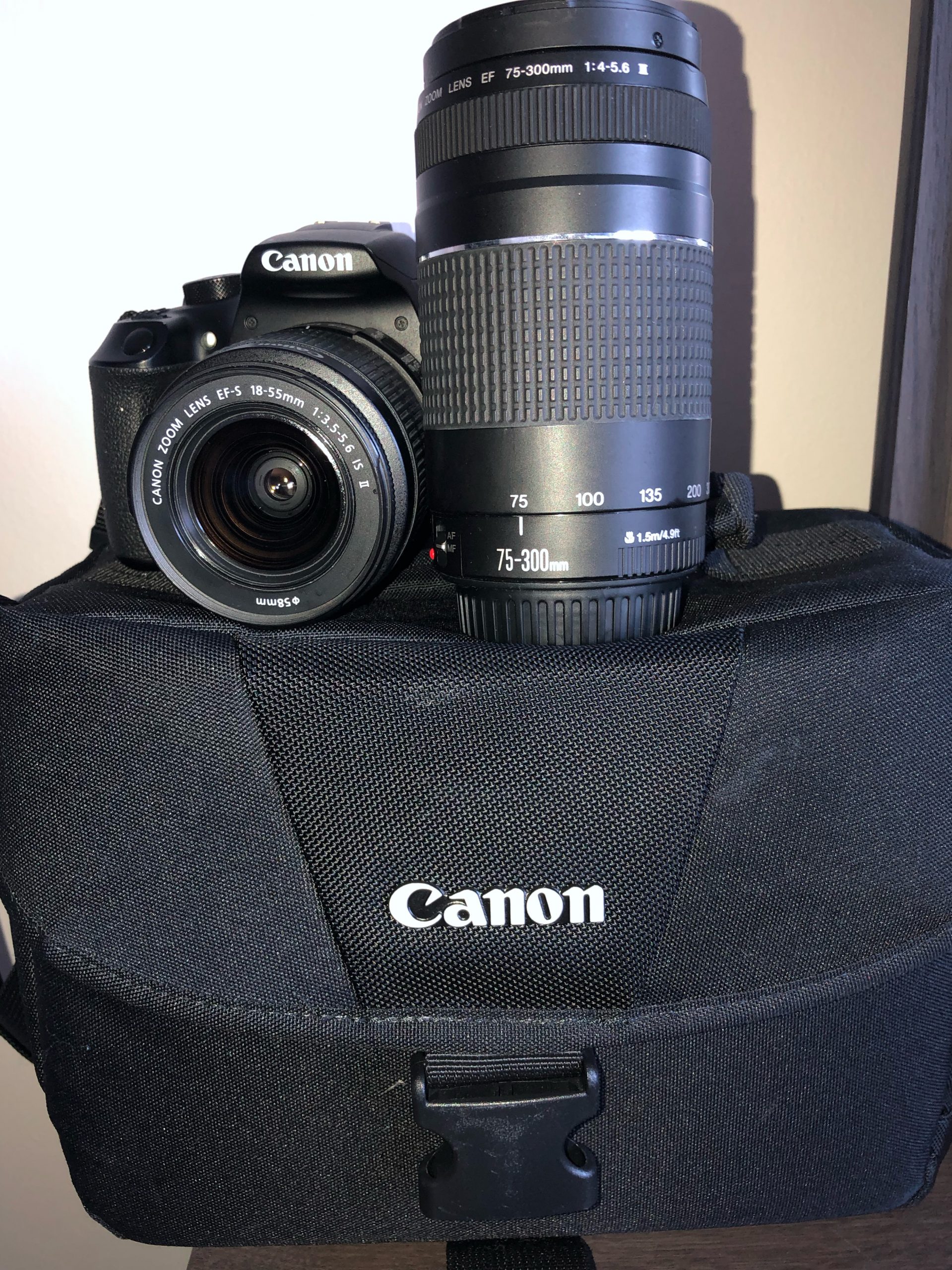 canon rebel backup camera