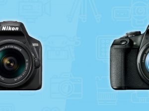 Nikon D3500 vs Canon T7