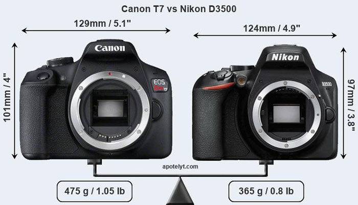canon T7 vs Nikon d3500 comparison