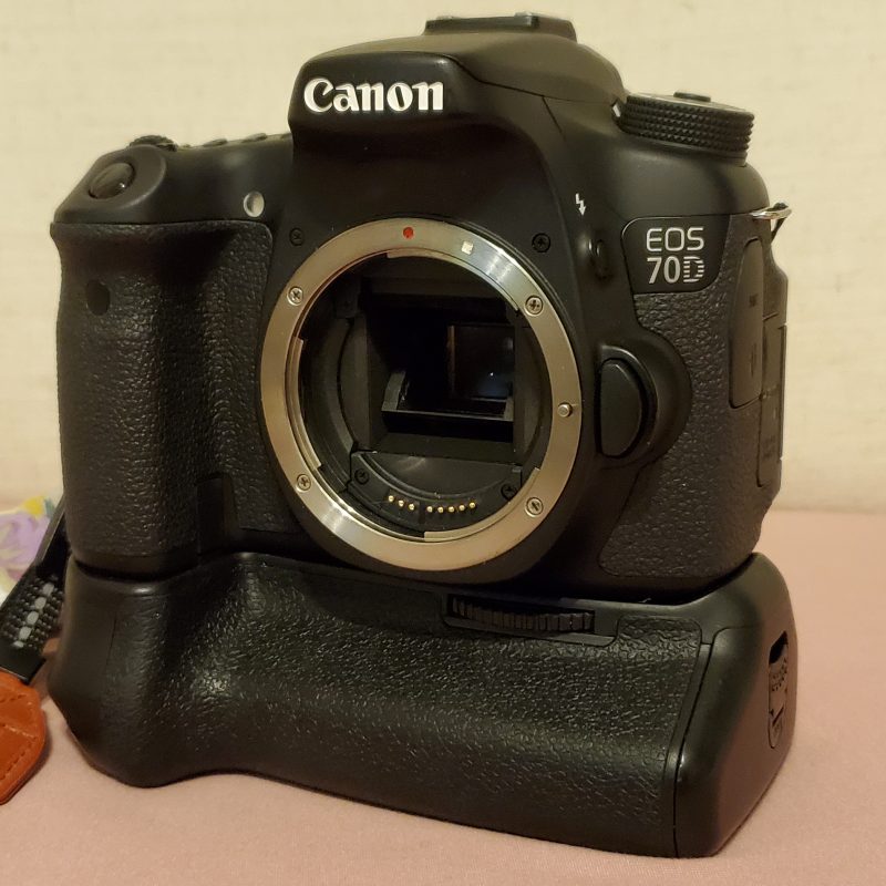 camera shutter count canon online