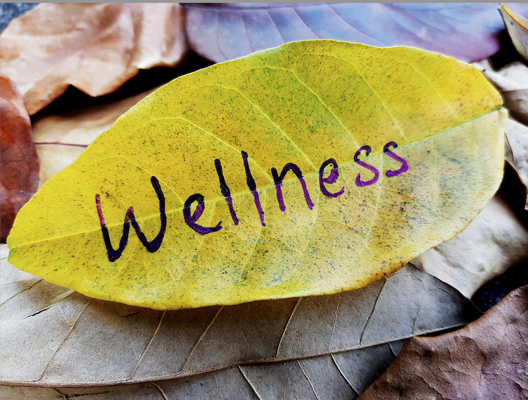 "Wellness" written on a leaf.