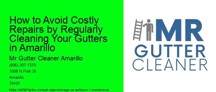 How to Avoid Costly Repairs by Regularly Cleaning Your Gutters in Amarillo