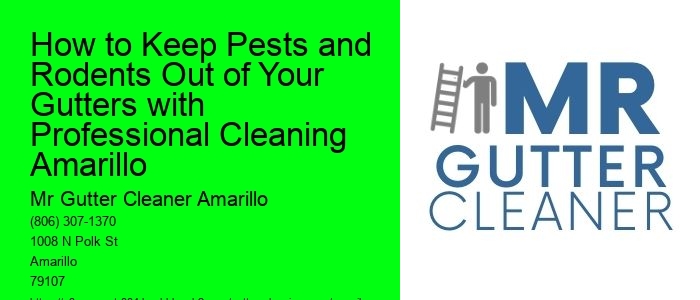 How to Keep Pests and Rodents Out of Your Gutters with Professional Cleaning Amarillo