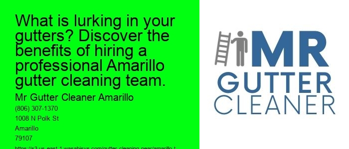 What is lurking in your gutters? Discover the benefits of hiring a professional Amarillo gutter cleaning team.
