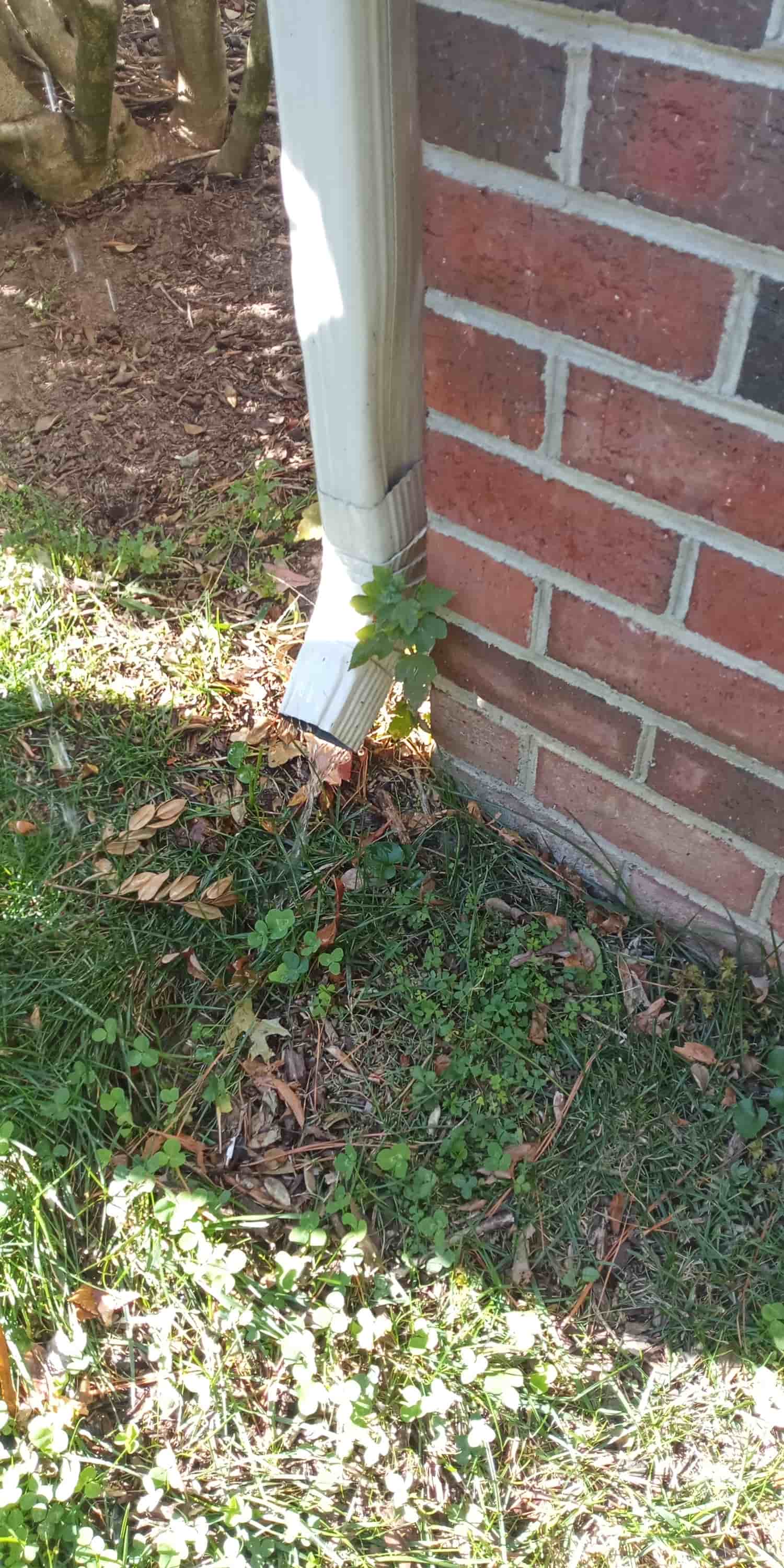 clean gutter downspout from ground