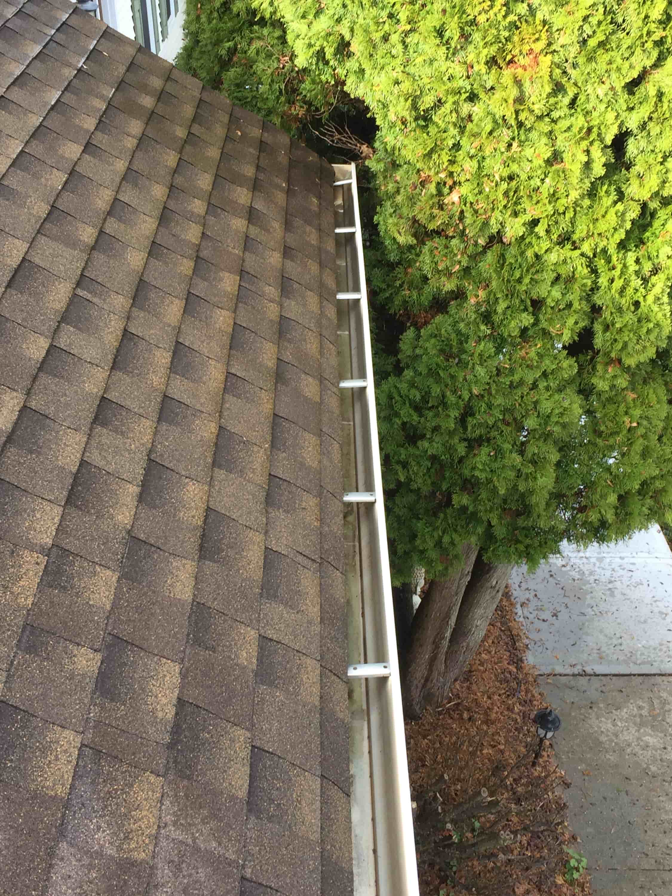 clogged gutter downspout